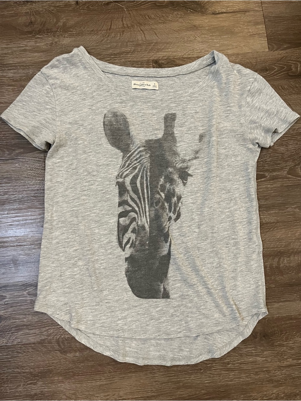 Abercrombie Graphic Zebra Tee in Heather Gray